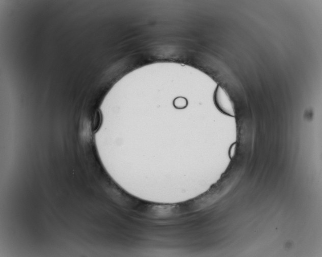 X0000102370089200808291259