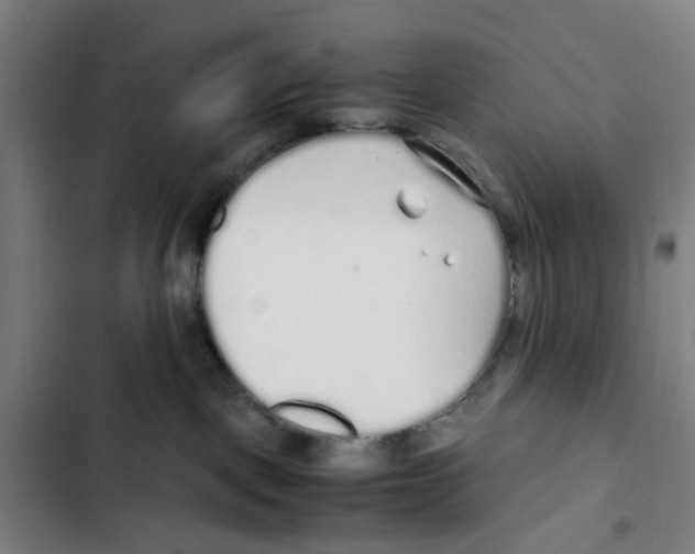X0000102370093200808291259