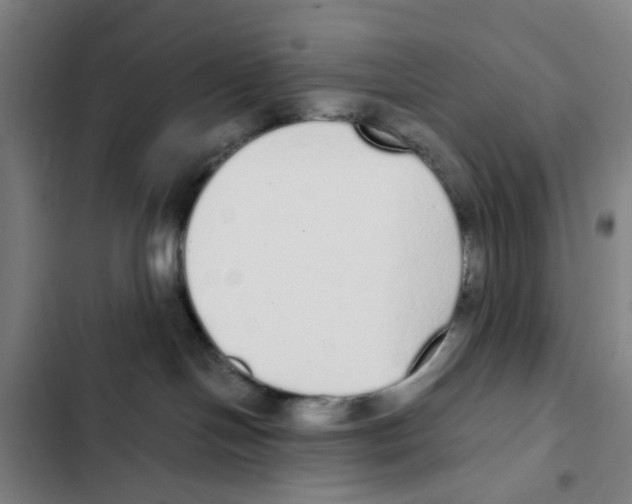 X0000102370094200808291259