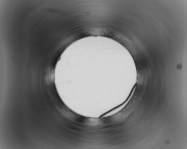 X0000102370095200808291259