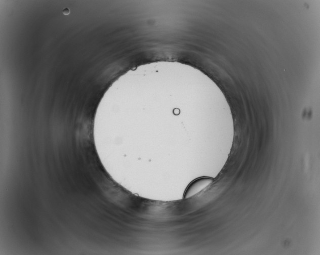 X0000102370096200808291259