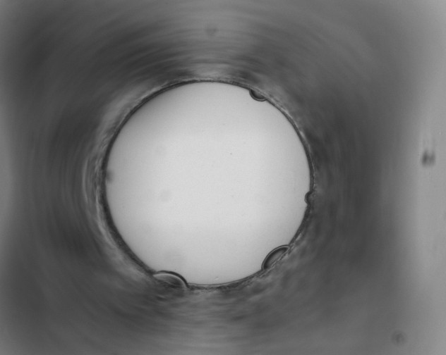 X0000102370097200808291259
