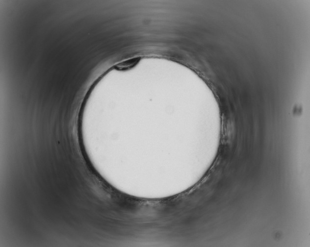 X0000102370099200808291258