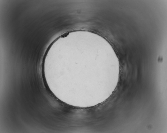 X0000102370100200808291258