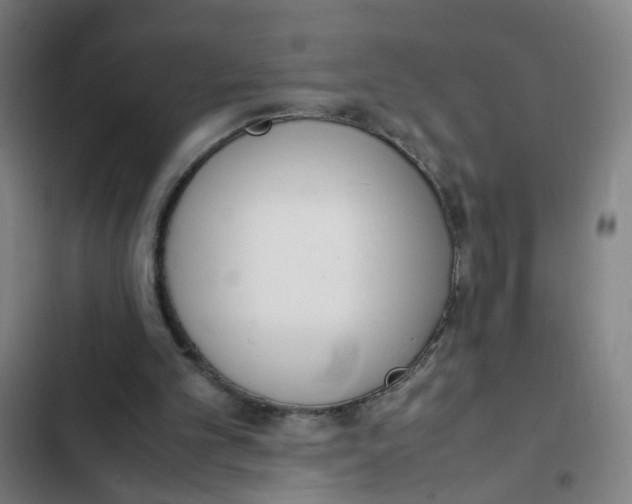 X0000102370101200808291258