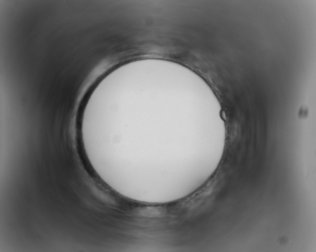 X0000102370102200808291258