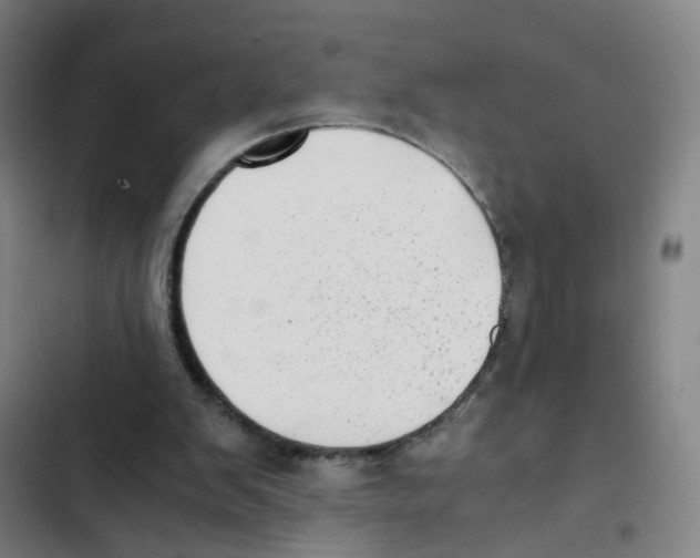 X0000102370103200808291258