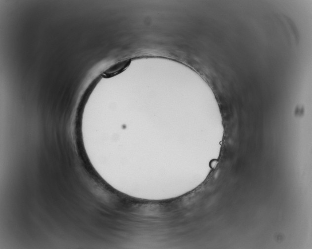 X0000102370104200808291258