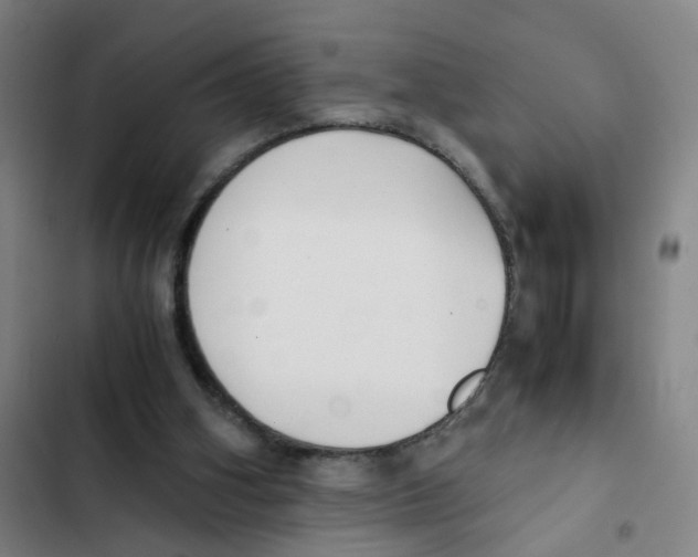 X0000102370106200808291258