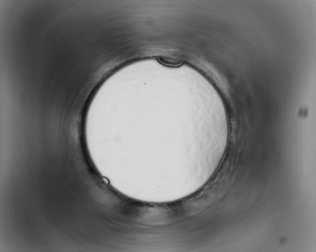 X0000102370107200808291258