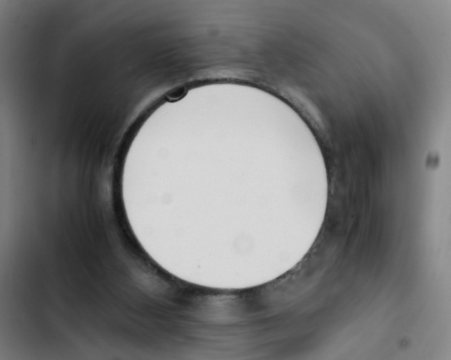 X0000102370108200808291258