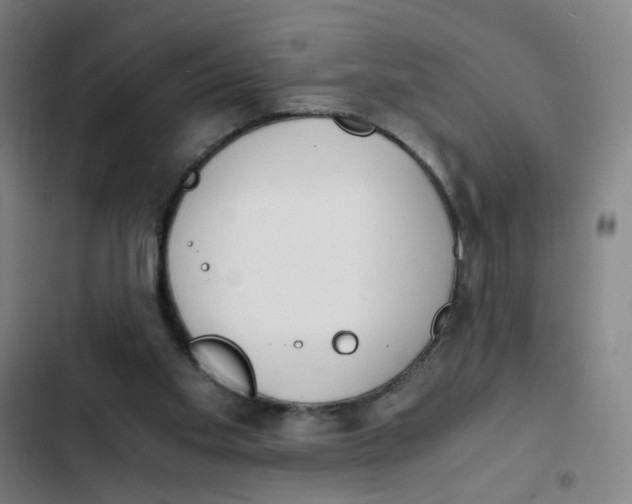 X0000102370109200808291258