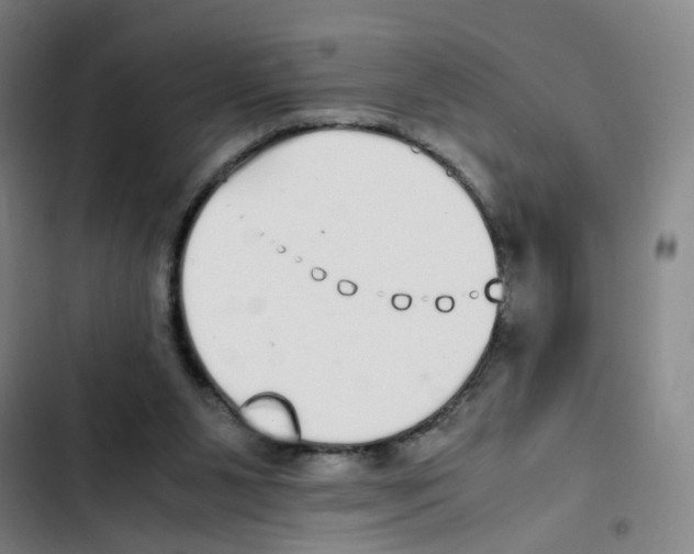 X0000102370111200808291258