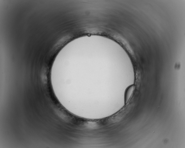 X0000102370114200808291258
