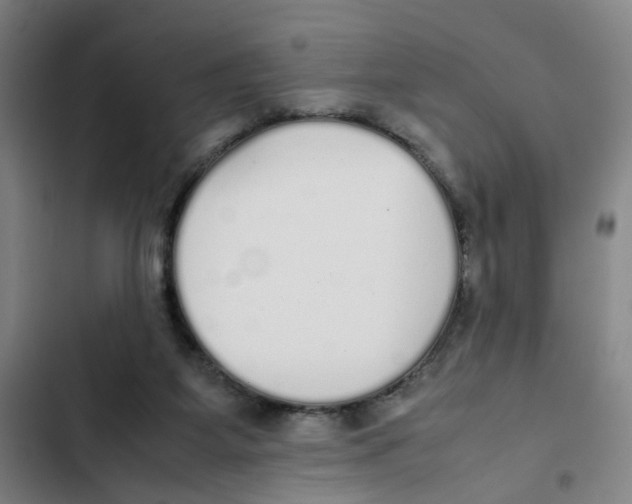 X0000102370115200808291258