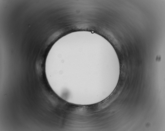 X0000102370116200808291258
