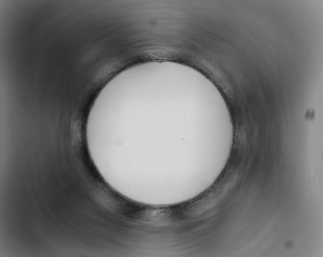 X0000102370117200808291258