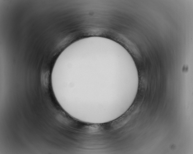 X0000102370118200808291258
