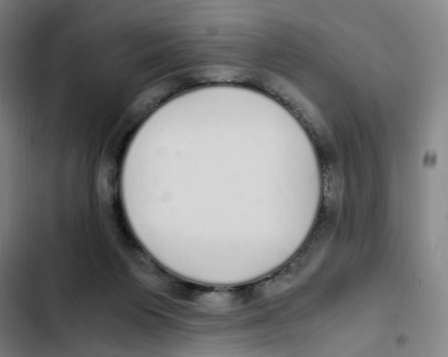 X0000102370119200808291258