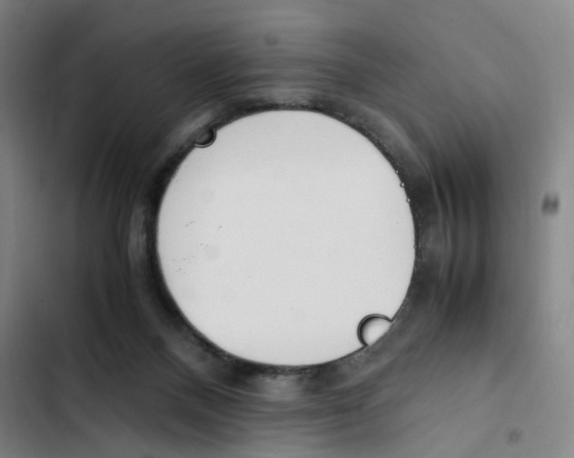 X0000102370120200808291258