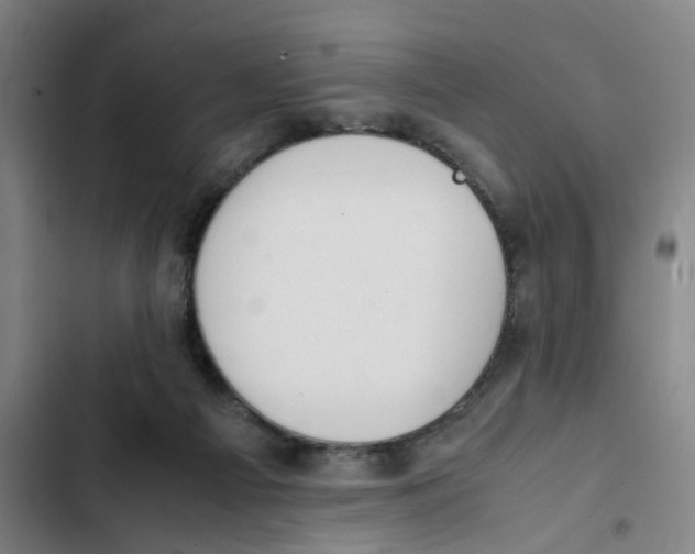 X0000102370121200808291258