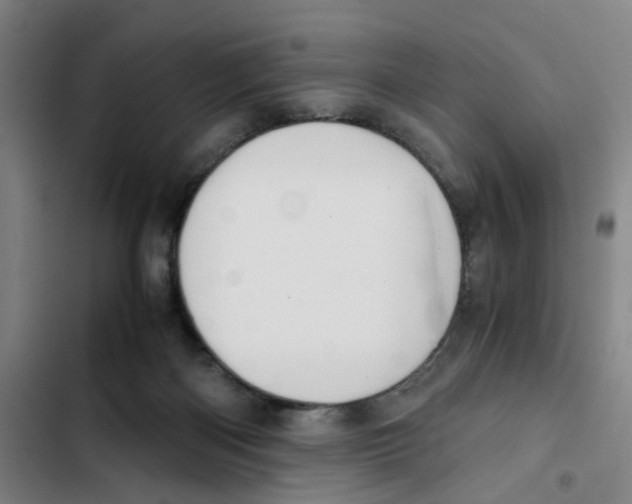 X0000102370122200808291258
