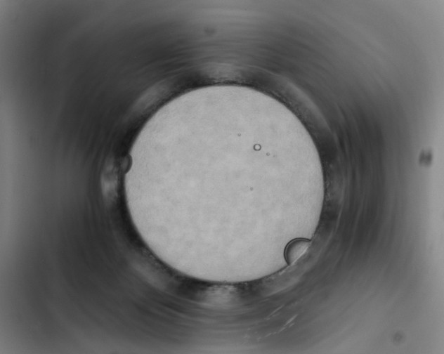 X0000102370124200808291258