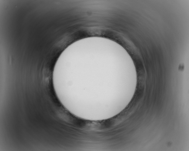 X0000102370125200808291258