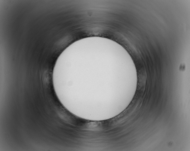 X0000102370126200808291258