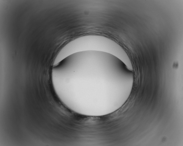 X0000102370128200808291258