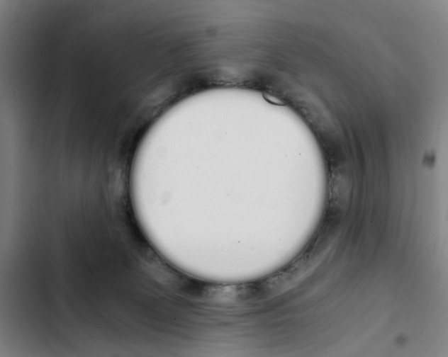 X0000102370131200808291258