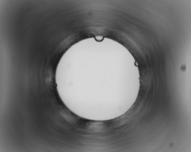 X0000102370132200808291258