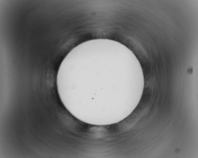 X0000102370133200808291258