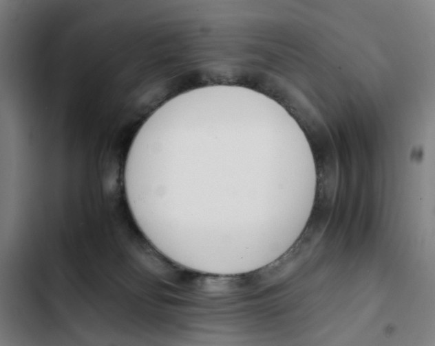 X0000102370134200808291258