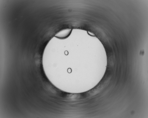 X0000102370135200808291258