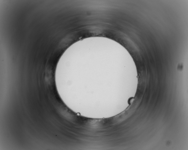 X0000102370136200808291258