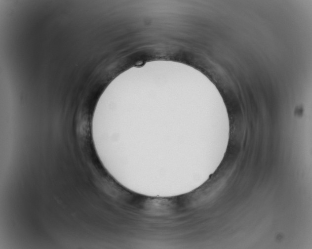 X0000102370137200808291258
