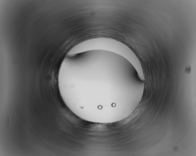 X0000102370140200808291258