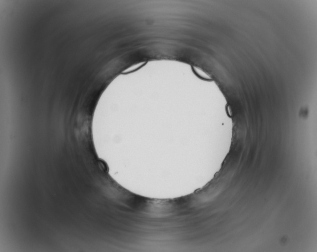 X0000102370141200808291258