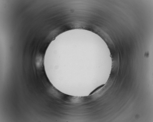 X0000102370142200808291258