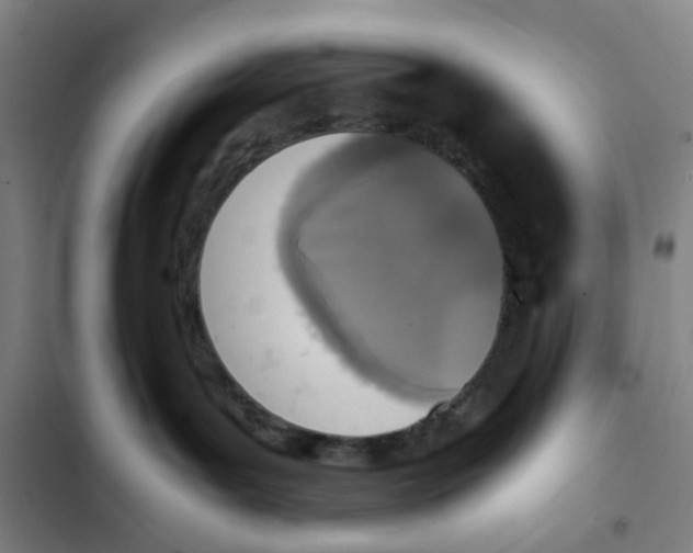 X0000102370143200808291258