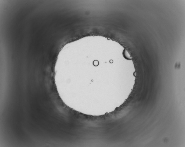 X0000102370144200808291258