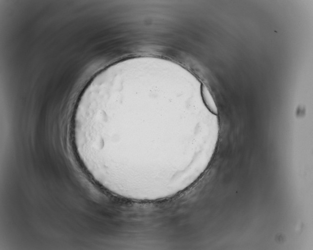 X0000102370145200808291257