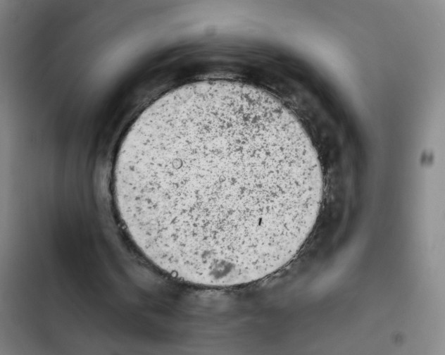 X0000102370146200808291257