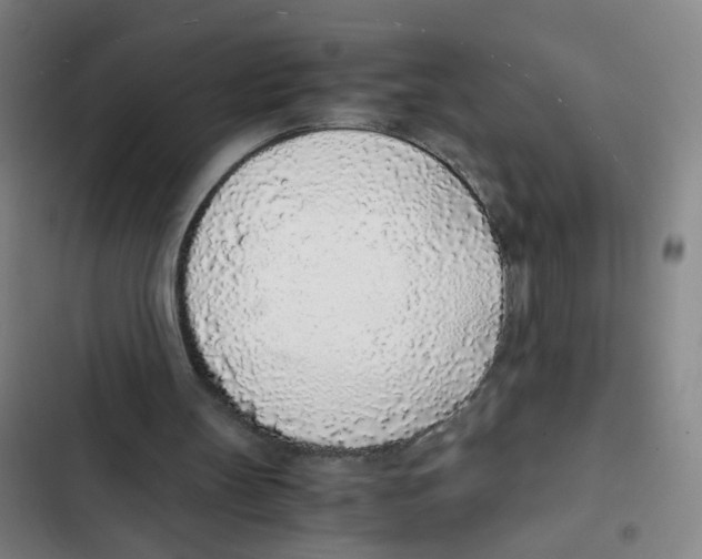 X0000102370147200808291257