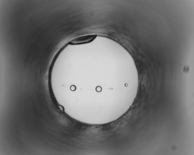 X0000102370148200808291257