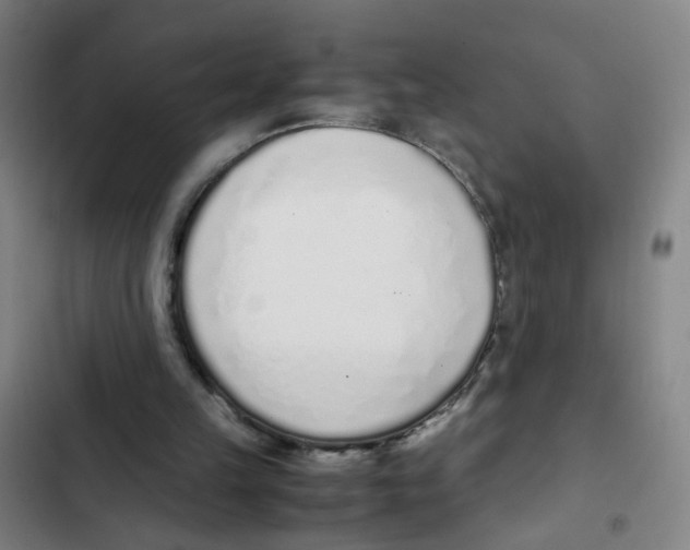 X0000102370149200808291257