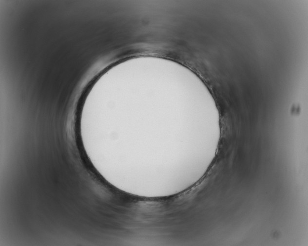 X0000102370150200808291257