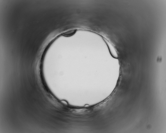 X0000102370151200808291257