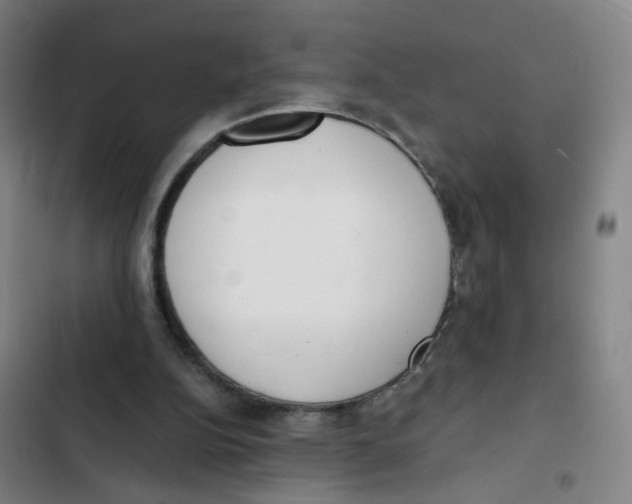 X0000102370152200808291257